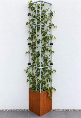 Klimplant draadrek CORNER